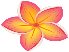 Flower Cartoon, Playful, Colorful, Characters, Nature PNG