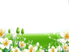 Flower Colorful, Colorful Blossoms, Vibrant Blooms, Garden Splendor, Lush Flora PNG