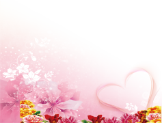 Flower Colorful, Floral Variety, Nature Palette, Colorful Bouquets, Vibrant Blossoms PNG