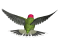 Flying Hummingbird, Exotic, Wildlife, Wings, Bird PNG