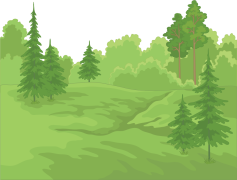 Forest, Trees, Ecology, Habitat, Serenity PNG