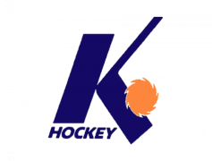 Fort Wayne Komets, Professional Hockey, Midwest League, Komet Fans, Ice Sports PNG