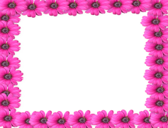 Frame Pink, Creative Frame, Stylish Outline, Decorative Border, Soft Hue PNG