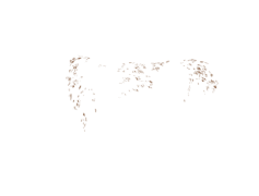 Freckles, Beauty, Complexion, Character, Skin PNG