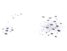 Freckles, Beauty, Unique, Youthful, Pattern PNG