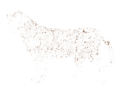 Freckles, Natural, Texture, Charm, Spots PNG