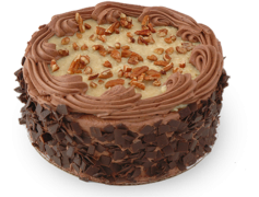 Fresh Chocolate Cake, Gourmet Dessert, Sweet Indulgence, Decadent Frosting, Celebration Cake PNG