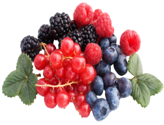 Fresh Organic Berry Mix, Juicy Berries, Natural Sweetness, Farm Fresh, Wholesome Treat PNG