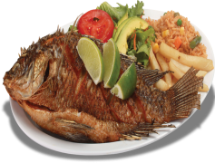 Fried Non-Veg, Breaded Tofu, Deep-Fried Delights, Chicken Wings, Crispy Chicken PNG