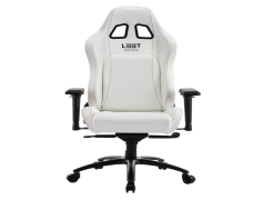 Gamer Chair, Comfort Cushion, Lumbar Support, Gaming Stool, Racing Style PNG