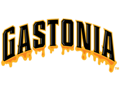 Gastonia Honey Hunters, Gaston County, Family Entertainment, Sports Franchise, Community Events PNG