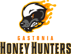 Gastonia Honey Hunters, Professional Baseball, Minor League, Carolina League, Team Merchandise PNG