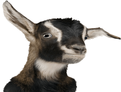 Goat Head, Unique Motif, Folklore Icon, Horned Figure, Cultural Significance PNG