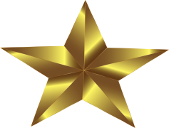 Gold Star Sticker, Praise Sticker, Reward Badge, Recognition Seal, Accomplishment Label PNG