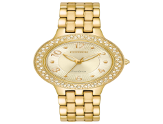 Gold Watch, Luxury, Timepiece, Gift, Elegance PNG