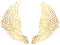 Gold Wings, Avian, Emblem, Luxury, Soaring PNG