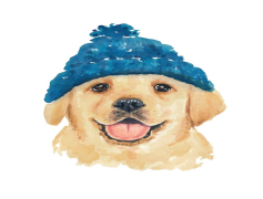 Golden Retriever, Intelligent, Friendly, Loyal, Playful PNG