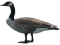 Goose, Animal, Bird, Feathered, Flight PNG