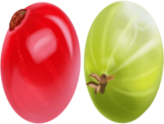 Gooseberry, Green, Fruit, Health, Culinary PNG