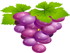 Grape Vine Leaf, Plant, Greenery, Organic, Botany PNG