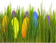 Grass Easter Egg, Family Activity, Nature Inspired, Spring Celebration, Festive Craft PNG
