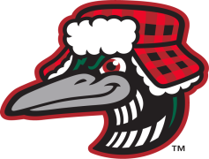 Great Lakes Loons, Michigan Team, Community Events, Lake County, Baseball Team PNG