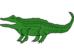 Green Alligator, Nature Style, Jungle Animal, Fun Creature, Playful Icon PNG