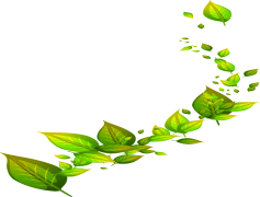 Green Leafs, Nature, Fresh, Plant, Eco-Friendly PNG