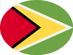 Guyana Flag, Cultural Heritage, Green Field, Red Triangle, National Symbol PNG