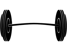 Gym Equipment, Weightlifting Tools, Resistance Devices, Training Equipment, Exercise Accessories PNG