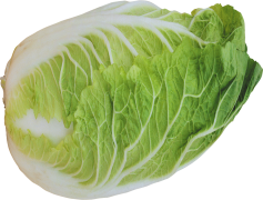 Half Cabbage, Green, Produce, Healthy, Organic PNG