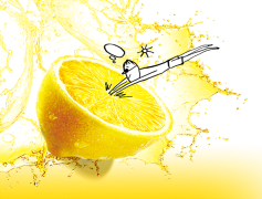 Half Lemon, Zest, Citrus, Yellow, Flavor PNG