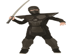 Halloween Costumes Ninja, Themed Apparel, Costume Accessories, Stealth Outfit, Martial Arts Gear PNG