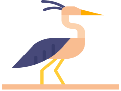 Herons, Wildlife, Conservation, Birds, Nature PNG