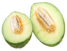 Honeydew Melon, Juicy Delight, Sweet Fruit, Green Flesh, Tropical Flavor PNG