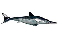 Ichthyosaur, Marine Reptile, Vertebrate Animal, Ocean Predator, Fossil Discovery PNG
