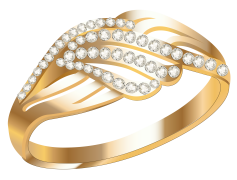 Jewellery Ring PNG Pic