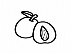 Jujube Fruit, Digestive Aid, Versatile Ingredient, Dried Snack, Traditional Medicine PNG