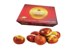 Jujube Fruit, Dried Snack, Nutrient-Dense, Sweet Flavor, Versatile Ingredient PNG