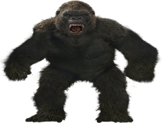 King Kong, Adventure, Monster, New York, Jungle PNG