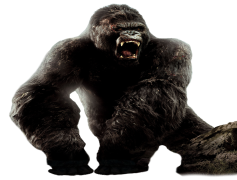 King Kong, Classic Monster, New York, Captivity, Giant Ape PNG
