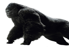 King Kong, Skull Island, Love Story, Adventure, Classic Film PNG