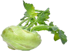 Kohlrabi, Brassica, Salad, Crunchy, Nutrient PNG