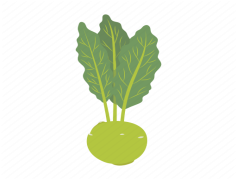 Kohlrabi, Foliage, Vegetable, Healthy, Recipes PNG