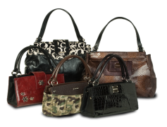 Ladies Handbag Shapes, Tote, Satchel, Crossbody, Hobo PNG