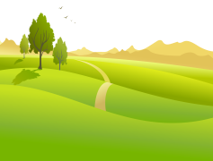 Landscaping, Design, Plants, Environment, Hardscape PNG