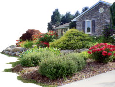 Landscaping, Hardscape, Design, Outdoor, Gardening PNG