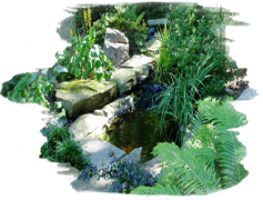 Landscaping, Maintenance, Outdoor, Environment, Gardening PNG