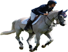 Laura Kraut, Competition, Rider, Horseback, Show Jumping PNG