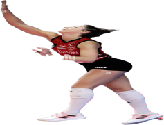 Lauren Carlini, Setter, USA National Team, Champion, Athlete PNG